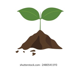 illustration of a tree seed germinating in the ground