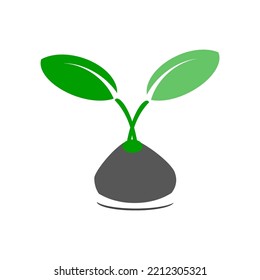 illustration of a tree seed growing on a rock