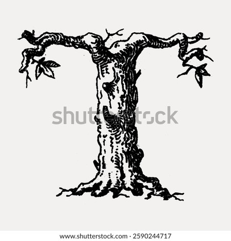 Illustration of a tree shaped like the letter 'T'. The tree has twisted branches and a textured trunk. Leaves are sparse on the 'T'-shaped tree. Vintage illustration vector.