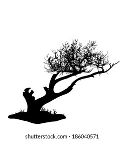 Illustration tree silhouette isolated on white background - vector