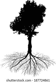 illustration with tree silhouette isolated on white background