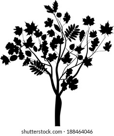 ilustración con silueta de árbol aislada en fondo blanco