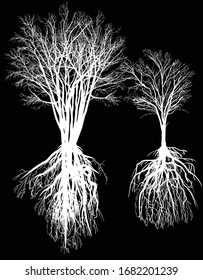 illustration with tree silhouettes isolated on black background