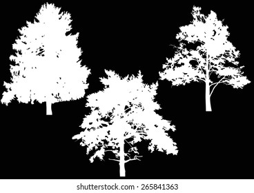 illustration with tree silhouettes isolated on black background