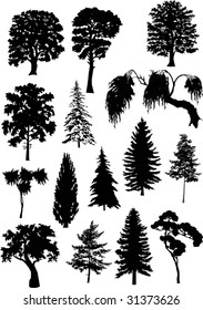 illustration with tree silhouettes isolated on white background