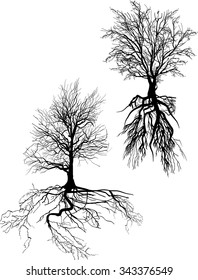 ilustración con siluetas de árbol aisladas en fondo blanco