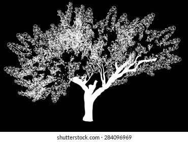 ilustração com esboço em árvore isolado no plano de fundo preto