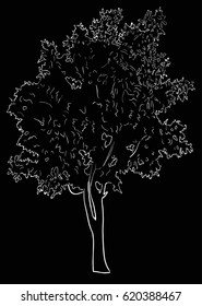 illustration with tree sketch isolated on black background