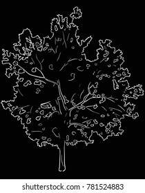 illustration with tree sketch isolated on black background
