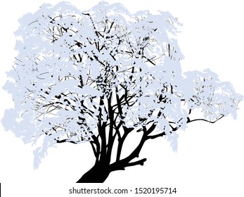 illustration with tree in snow isolated on white background