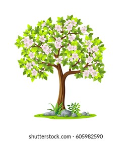Illustration of a tree in spring against white background