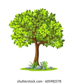 Illustration of a tree in summer against white background