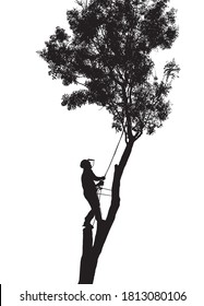 Illustration of a Tree Surgeon or Arborist roped up a tall tree