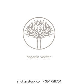Illustration tree symbol style organic design. Vector. Modern illustration for packaging natural products, organic shops, cosmetics, clothing.