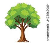 illustration of a tree with white background