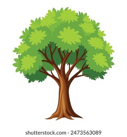 illustration of a tree with white background