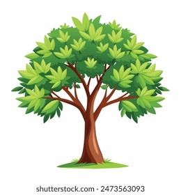 illustration of a tree with white background