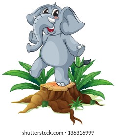 Illustration of a tree with a young gray elephant on a white background