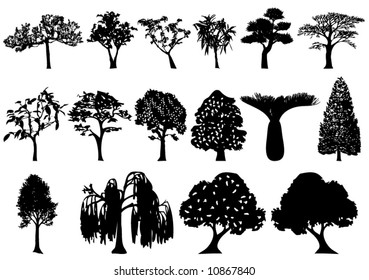 Illustration of trees