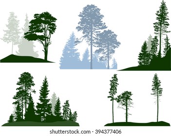 ilustración con composiciones de árboles aisladas en fondo blanco