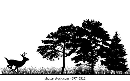 illustration with trees and deer silhouettes