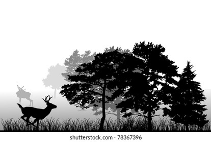 Download Deer Tree Silhouette High Res Stock Images Shutterstock