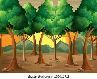 Illustration of the trees at the forest