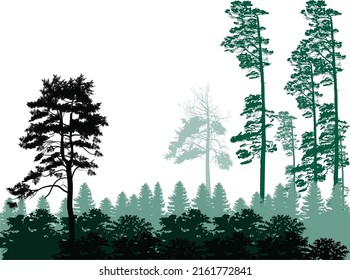illustration with trees groups isolated on white background