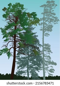 ilustración con grupos de árboles en fondo de cielo claro
