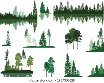 illustration with trees  groups set isolated on white background