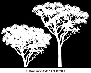 illustration with trees isolated on black background