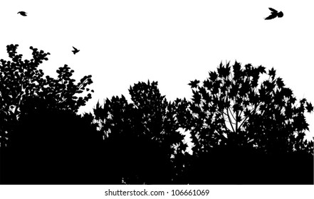 illustration with trees isolated on white background