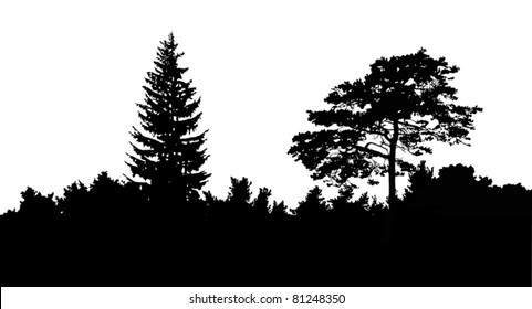 illustration with trees isolated on white background