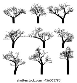An Illustration of Trees with no Leaves