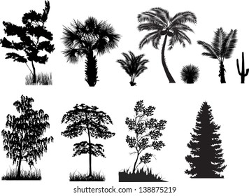 ilustración con árboles aislados en fondo blanco