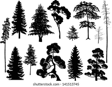 illustration with trees set isolated on white background