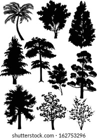 Tree Silhouettes On White Background Vector Stock Vector (royalty Free 