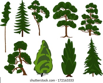 illustration with trees set isolated on white background