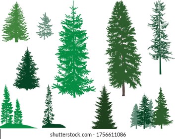 illustration with trees set isolated on white background