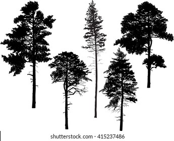 illustration with trees set isolated on white background