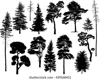 illustration with trees set isolated on white background