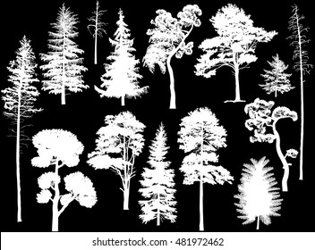 illustration with trees set isolated on black background