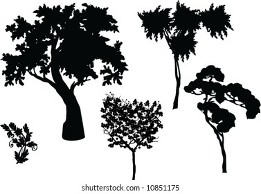 illustration with trees silhouette isolated on white background
