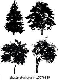 illustration with trees silhouette isolated on white background