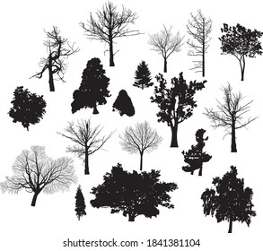 illustration with trees silhouette isolated on white background