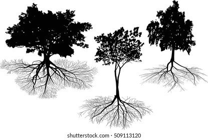 illustration with trees silhouette isolated on white background