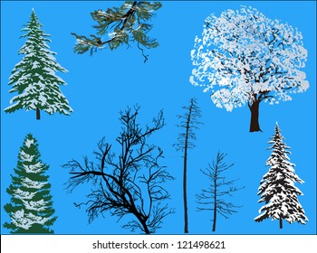 illustration with trees in snow isolated on blue background