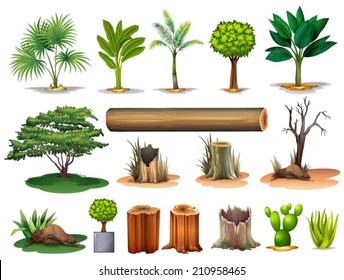 Illustration of the trees and stumps on a white background