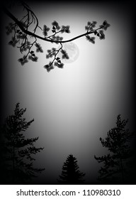 ilustración con árboles bajo cielo nocturno con luna