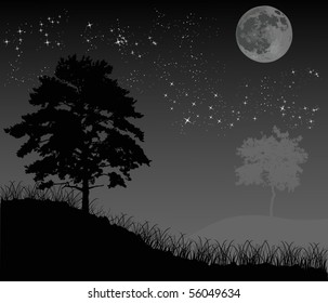 illustration with trees under night sky with stars